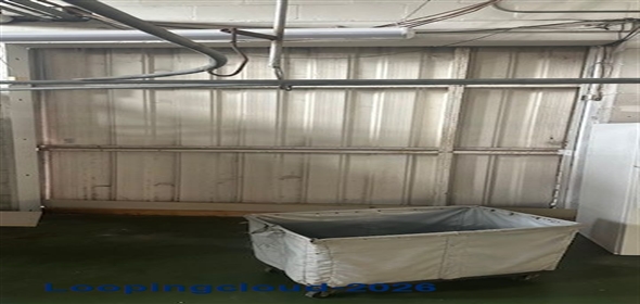 1152 Court Street Clearwater Florida, 33756 | Prime Retail Building 7,668 SF on Highly Trafficked Court St.