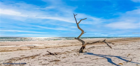 6680 GULF OF MEXICO DR Long Boat Key Florida, 34228 | Exclusive Private Waterfront Family Residence