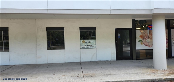 3658 Lithia Pinecrest Road Valrico Florida, 33596 | Erindale Plaza