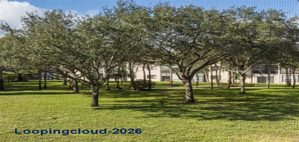 6085 N Sabal Palm Blvd # 208 Tamarac Florida, 33319 | Beautiful Condo