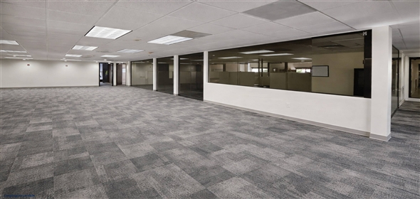 283 Catalonia Ave Coconut Grove Florida, 33134 | Premier Commercial Investment