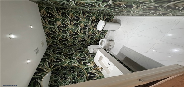 219 Miracle Mile Coral Gables Florida, 33134 | Flagship Retail On Miracle Mile