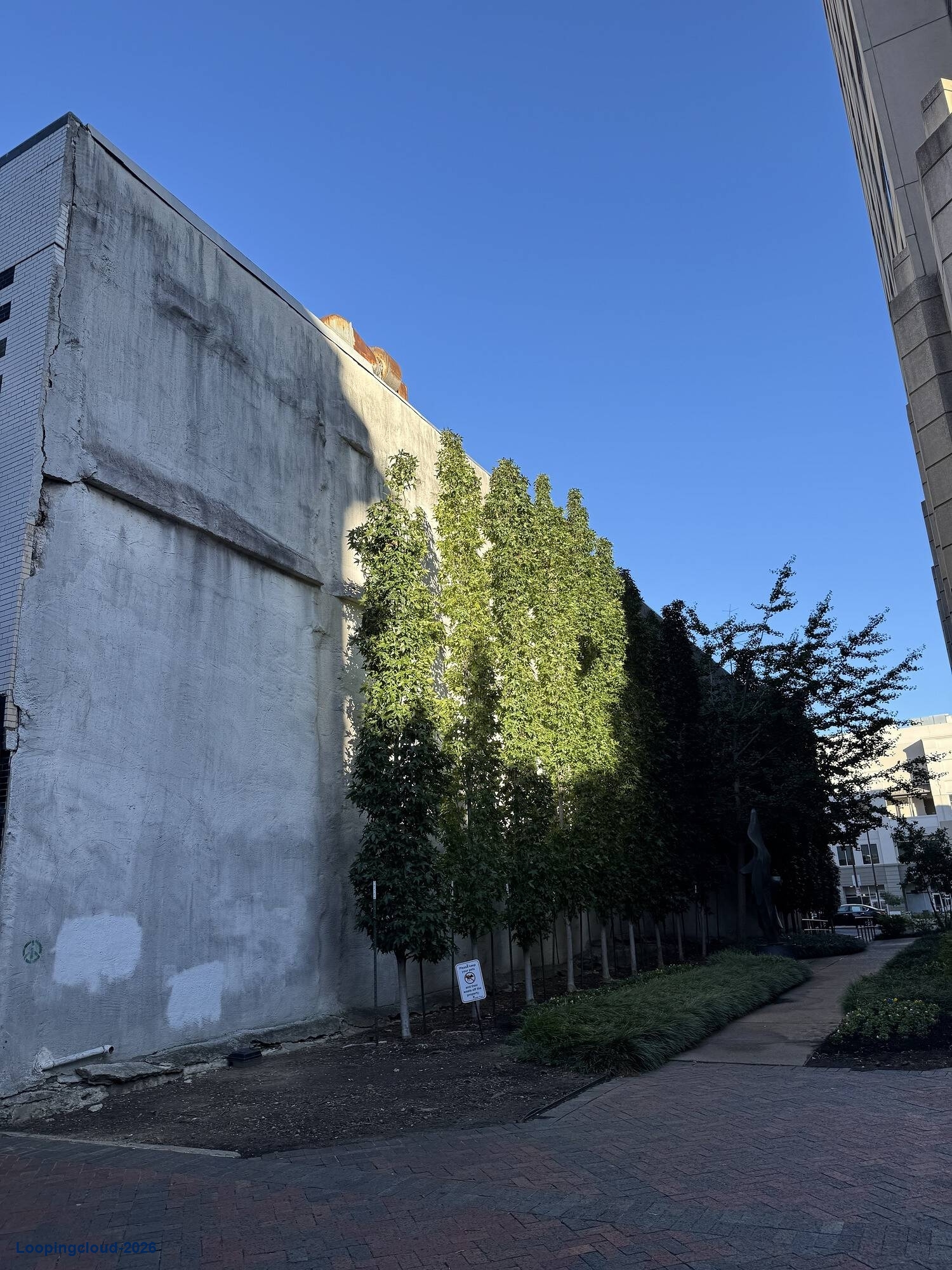 52,684 SF Freestanding Retail & Mixed-Use Building