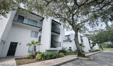Uptown Palms - Student Housing Candidate -Next to USF