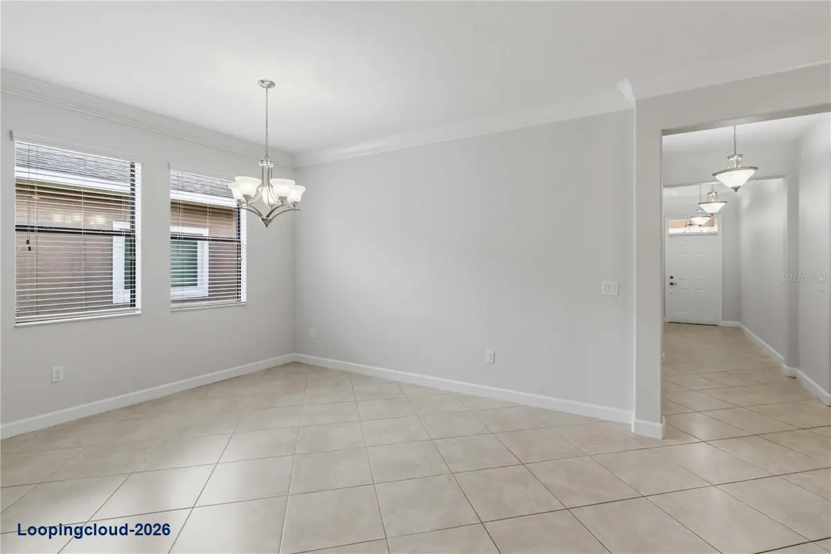 11833 FROST ASTER DR Riverview, FL 33579