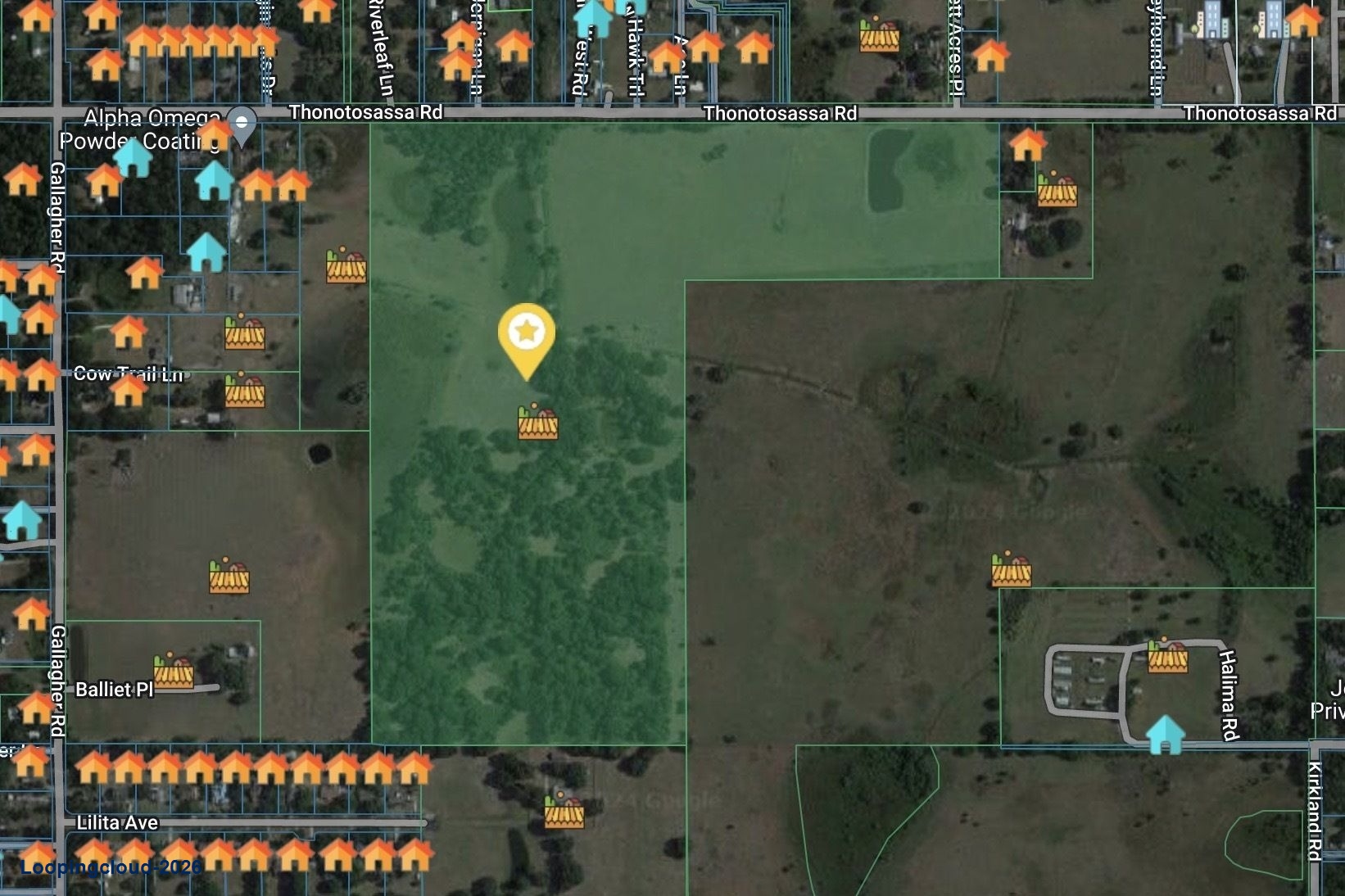 100 Acres Dover, Fl