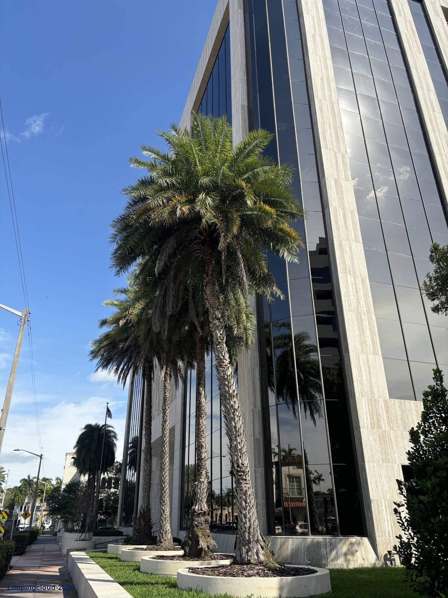 901 Ponce de Leon, Coral Gables, FL 33134