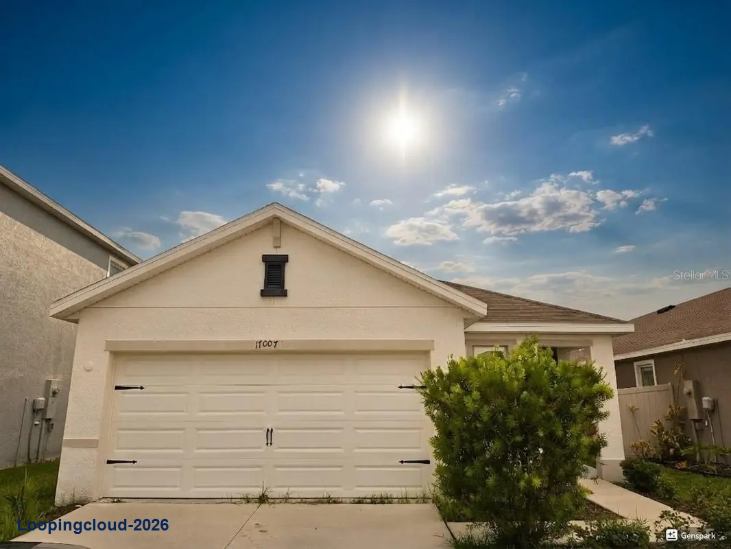 17007 BLISTER WING DR Wimauma, FL 33598