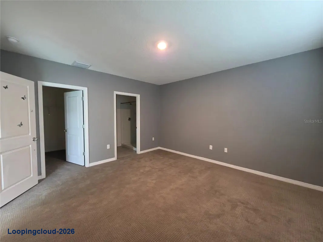 17007 BLISTER WING DR Wimauma, FL 33598