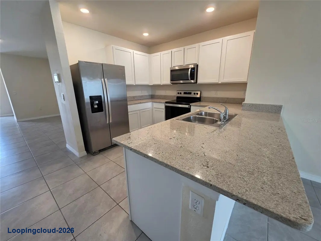 17007 BLISTER WING DR Wimauma, FL 33598