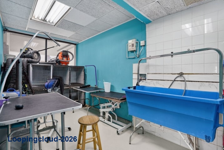 Dog Grooming Shop For Sale In Miami, FL 33173