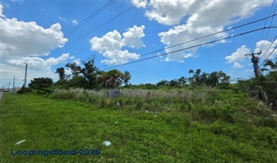 6680 15th St E, Sarasota Florida , 34243