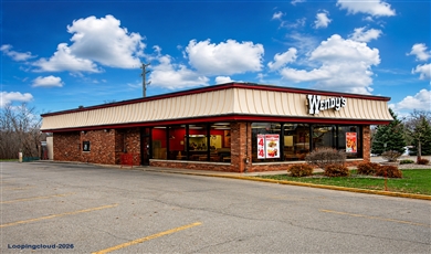 436 South Main Street Lapeer Michigan, 48446 | Dark Wendy's for Sale or Lease
