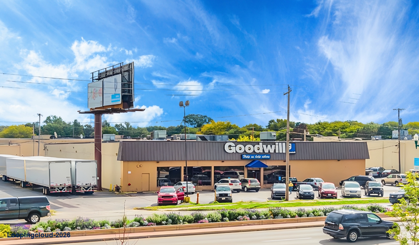 Goodwill