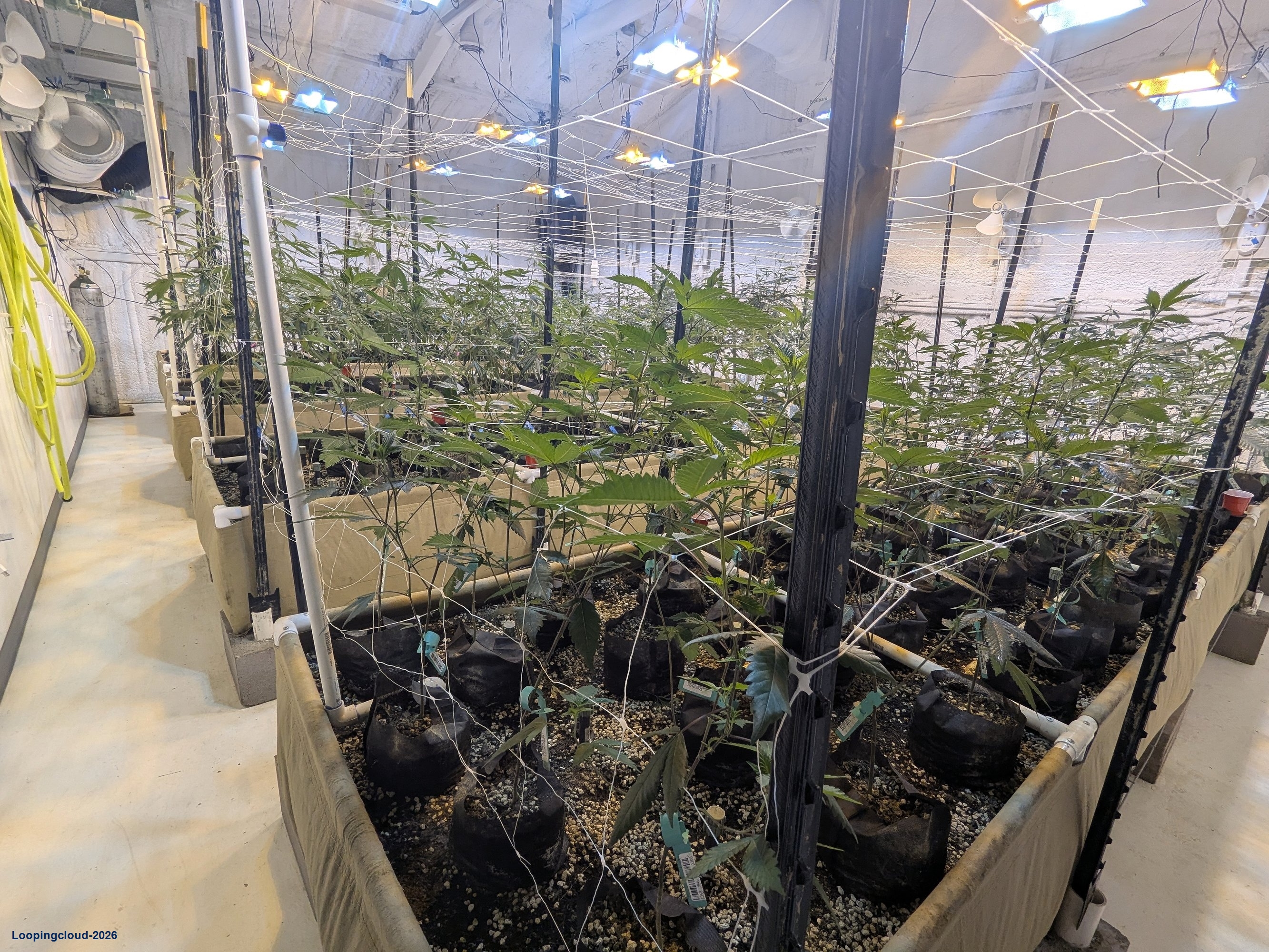 Commercial Land and Cannabis Cultivation Facility for Sale in Estancia, NM | 7 Howell Rd W