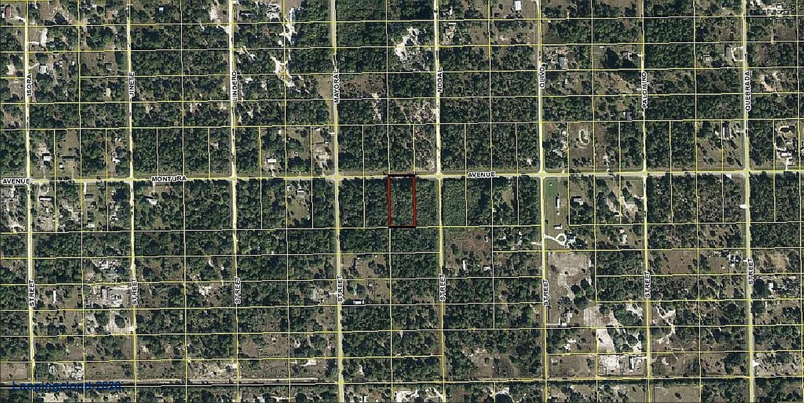 Land for Sale in Montura Ranches | 1.25 Acres in Clewiston, FL