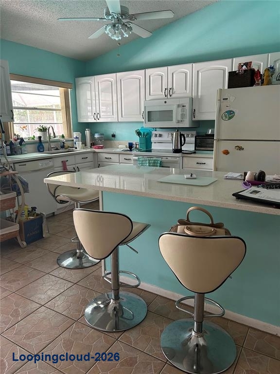 12016 Saffron Ct, Orlando, FL 32837 | 4 Bed Pool Home in PepperMill