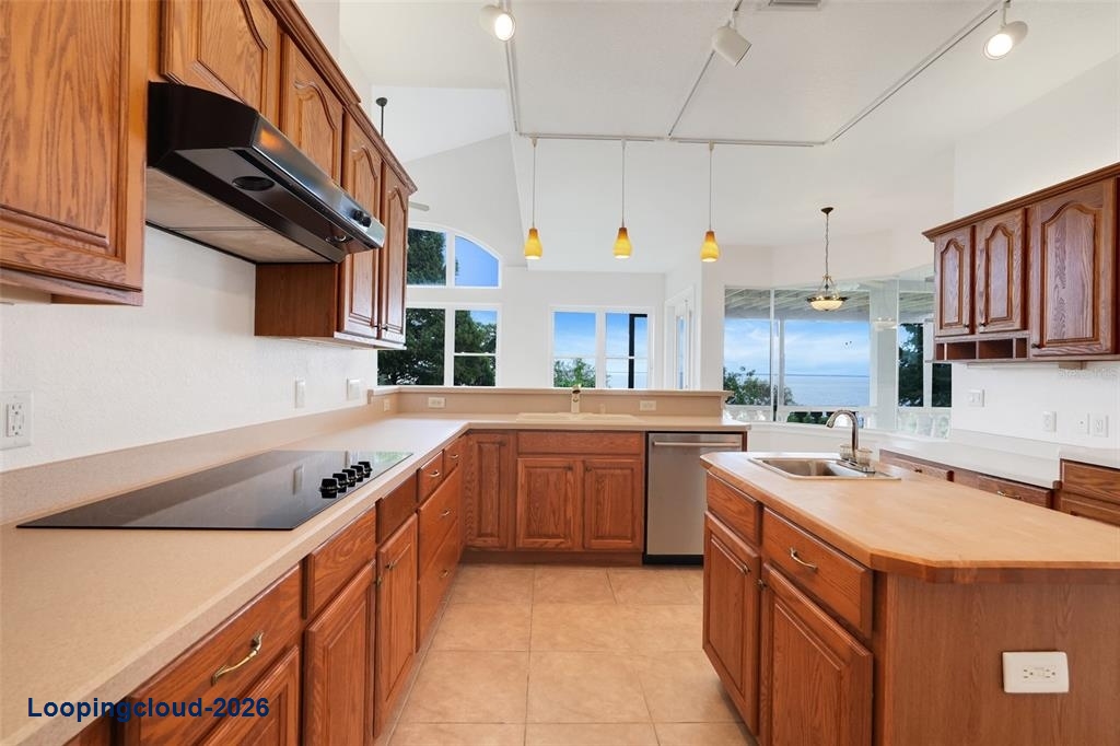 81 Millholland St, Oakland, FL 34760 | Lake Apopka Custom Estate