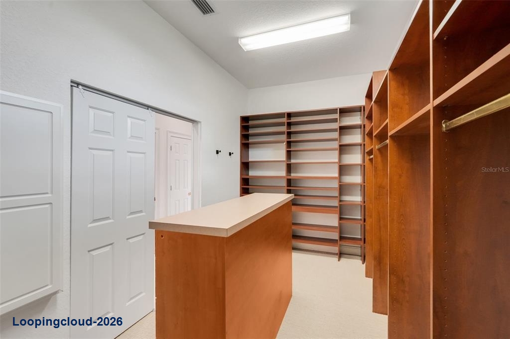 81 Millholland St, Oakland, FL 34760 | Lake Apopka Custom Estate