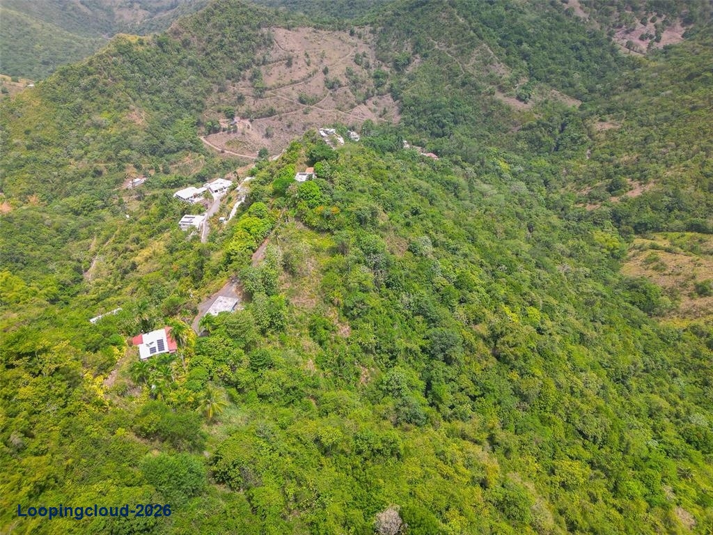 612 Ciales, Ciales, PR 00638 | 7.45-Acre Mountain Compound w/ 2 Homes