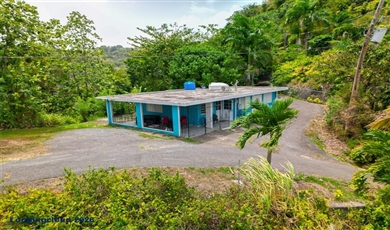 612 Ciales, Ciales, PR 00638 | 7.45-Acre Mountain Compound w/ 2 Homes