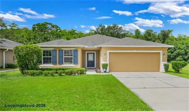 St. Cloud FL Home for Sale: 221 Daigledog Street, St. Cloud, FL 34772