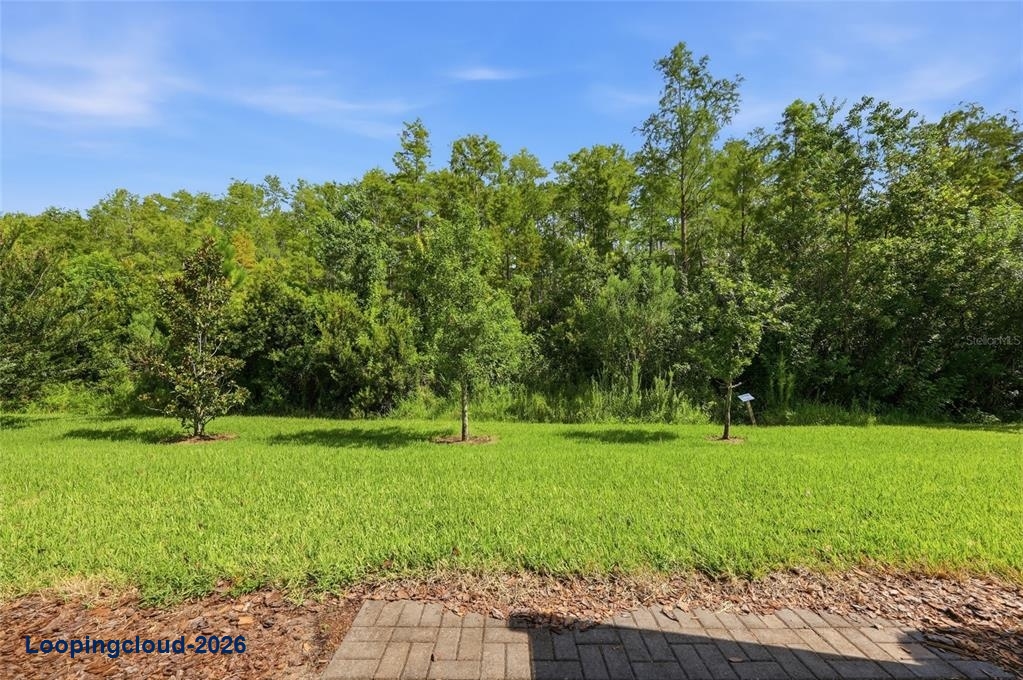 2559 Sedge Grass Way, Orlando, FL 32824 | 3 Bed Townhome with Open Backyard Views