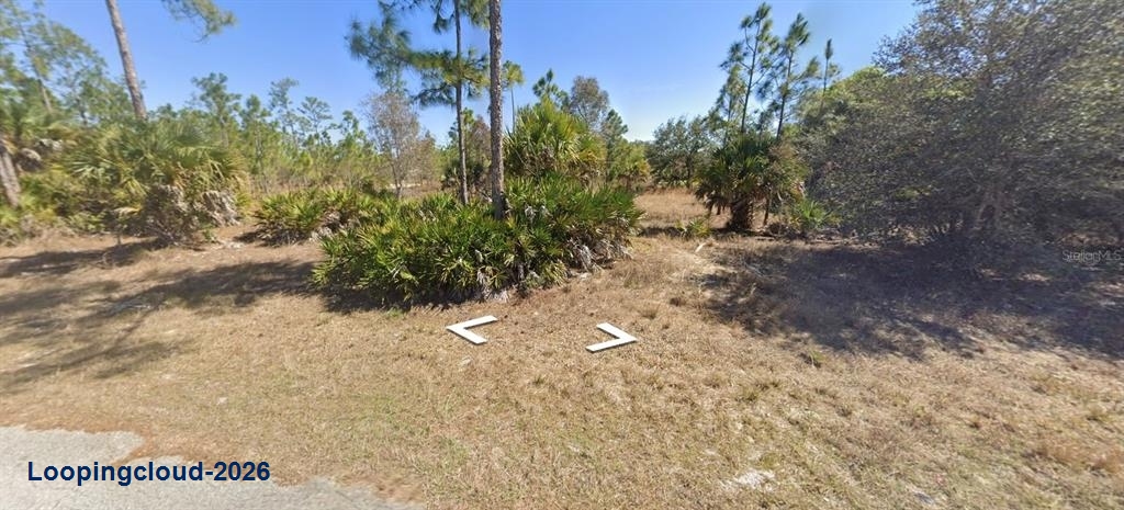 1002 Glenn Ave, Lehigh Acres, FL 33972 | 0.50 Acre Residential Lot For Sale