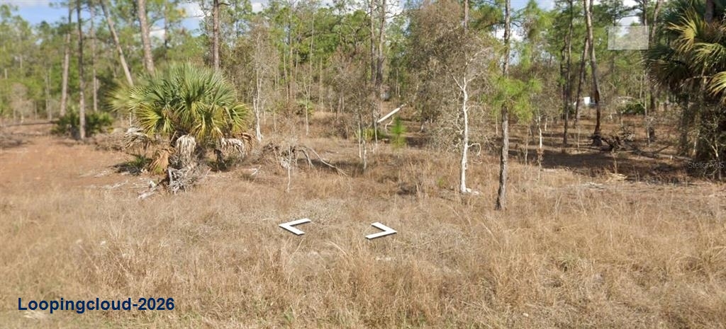 1306 Michael Ave, Lehigh Acres, FL 33972 | 0.50 Acre Residential Build Lot