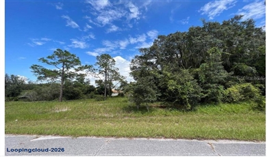 Vacant Residential Lot For Sale: 1336 Hillsborough Court, Poinciana, FL 34759