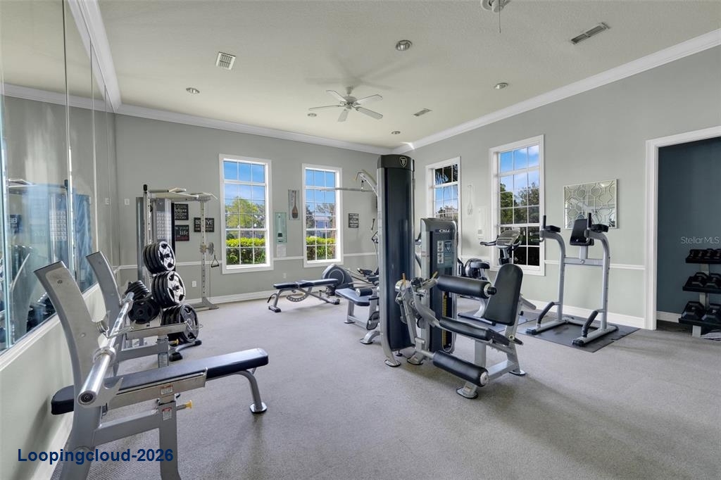 9408 Flowering Cottonwood Rd, Orlando, FL 32832 | Savannah Pines Townhome