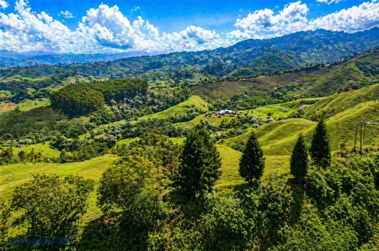 35 Hectare Ecotourism & Land Development Parcel for Sale in Risaralda, Colombia | 20 Titled Lots Included