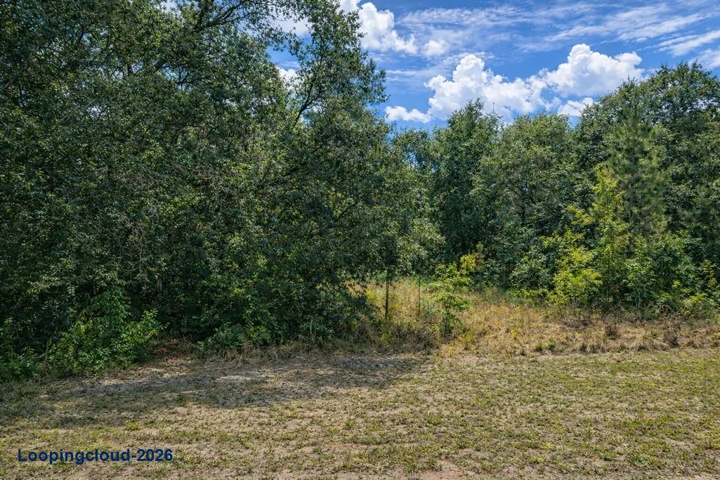 Nearly 1 Acre Buildable Corner Lot in Dunnellon, Florida | Lake Tropicana Ranchettes